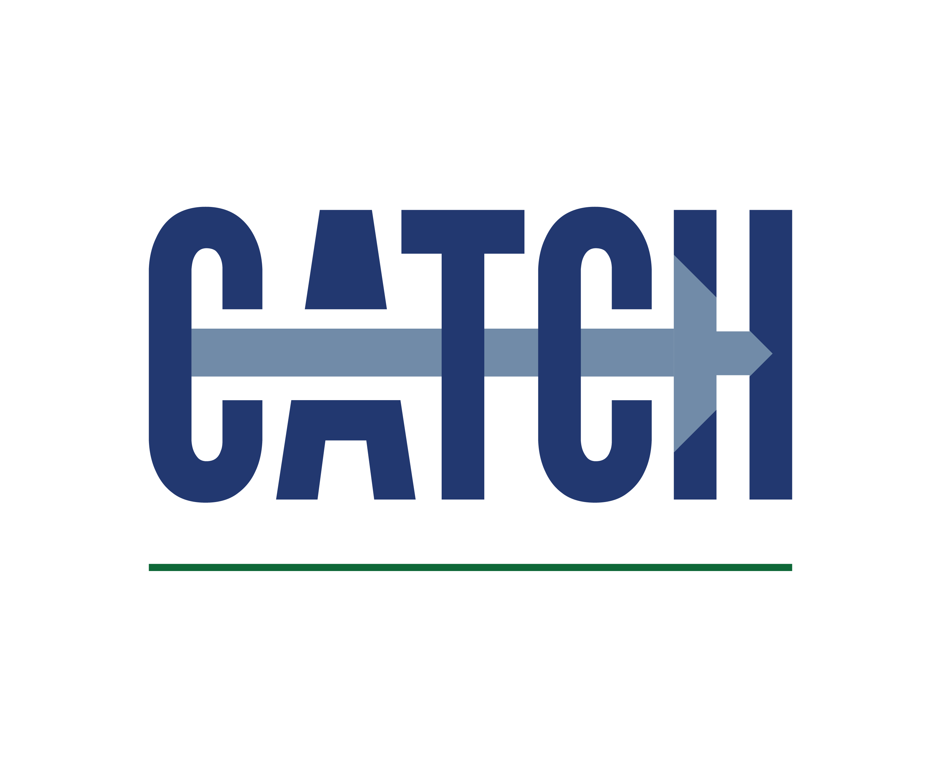 Catch Training Logo